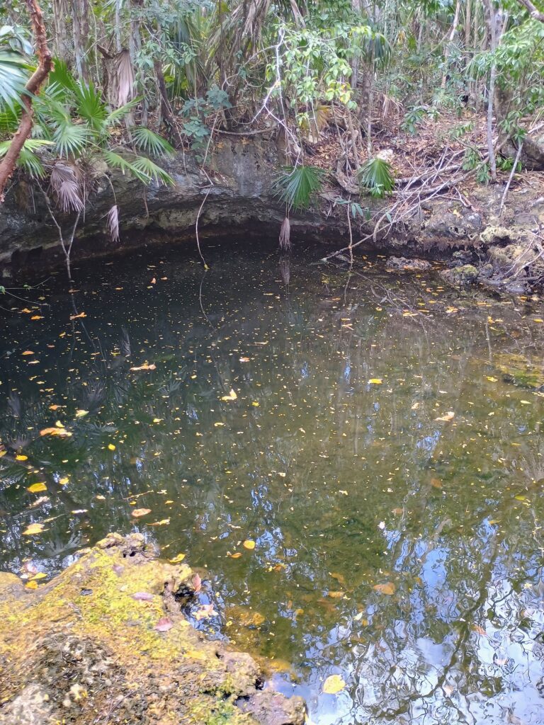 cueva quebrada cenote s1 mexico underwater cave system