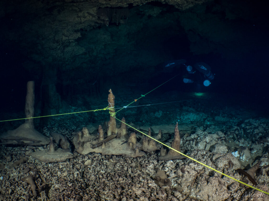 aerolito cozumel caves cenote beneath the jungle famous fourway