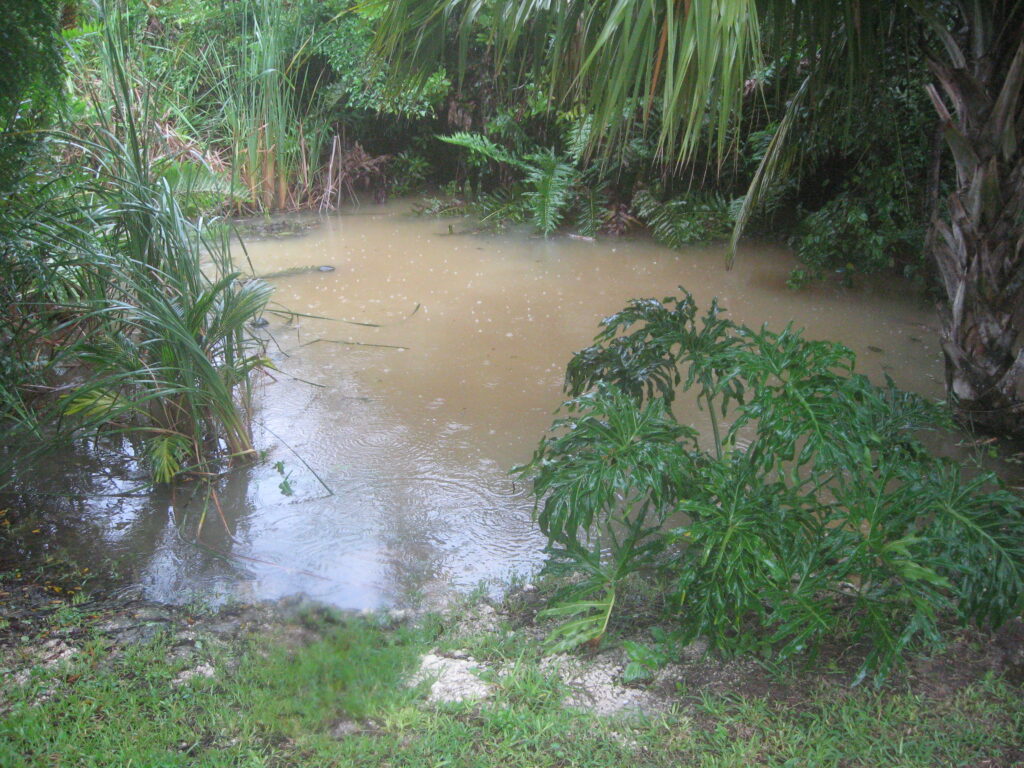 cenote cocodrilo mexico underwater cave system