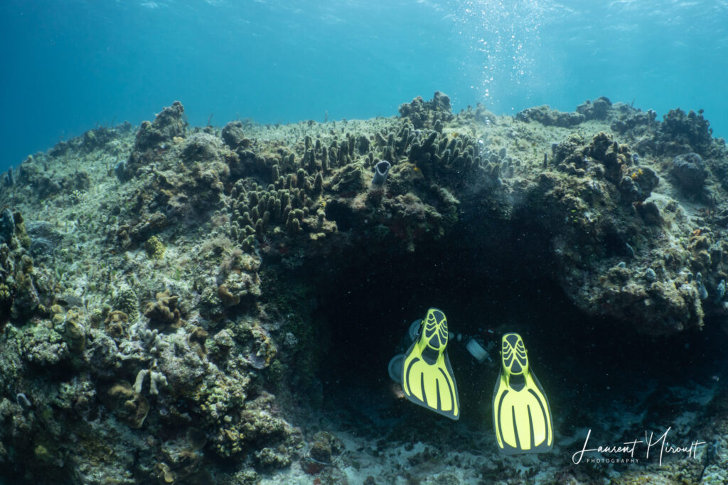 cueva quebrada cozumel caves beneath the jungle dos coronas opening
